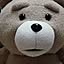 Ted