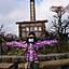 Sato