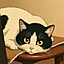 REONA
