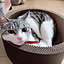 MaU