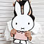 Akemi