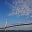 riichi0409