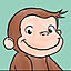 odeko