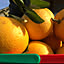 cocohore11