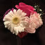 Peony