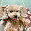 RUFFY