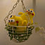 clover_pin