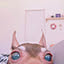 pinpuku