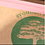 aoiharumaki
