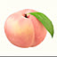 Momoka.YYY