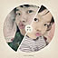ydsekimo0104