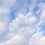 Blau_
