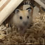 charmy