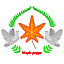 teffut8914