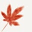 GuchiWosuke