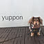 yuppon