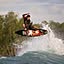 SURF1173