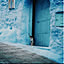 pino_3110