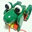 frog_0101