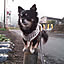akubi28n