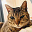 Eleonor_Tom