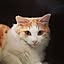renam_07