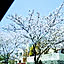 yuchan255509