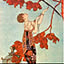 h.rinkrin