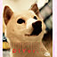 YUCHI