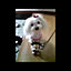 Coo_Tarou