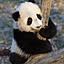lihui