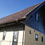 tararira37