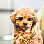 kanaharu..
