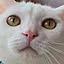 SNOW.white.YUKI