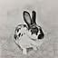 moomin7