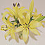 Lilies