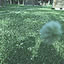 miniMo