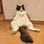 NekoGaFutocchatteru