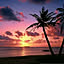 Maayuu_HOMEv8