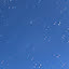 tanpopo