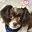 yasuko.reon08170420