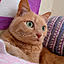 mikomiko