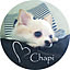 chapi