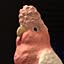 PoPPoPo_PoPiy