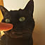 HARUNEKO