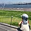 daigoro