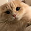 are.you.me