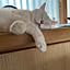 nyanzaurus