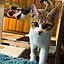 koji