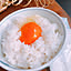 tamagokakegohan